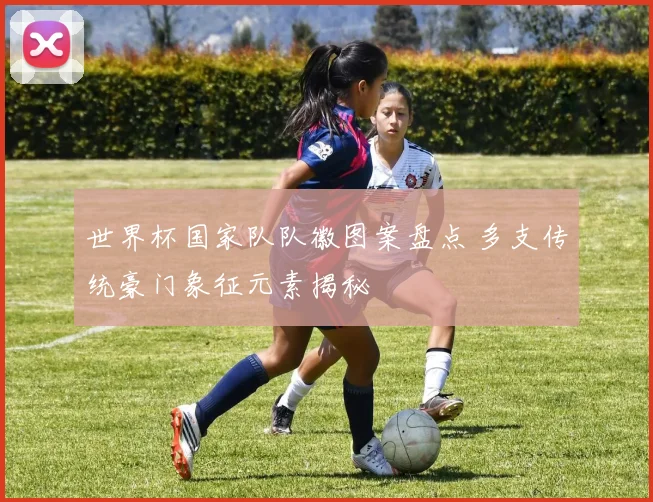 世界杯国家队队徽图案盘点 多支传统豪门象征元素揭秘