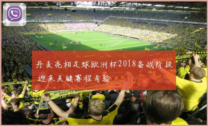 丹麦亮相足球欧洲杯2018备战阶段 迎来关键赛程考验